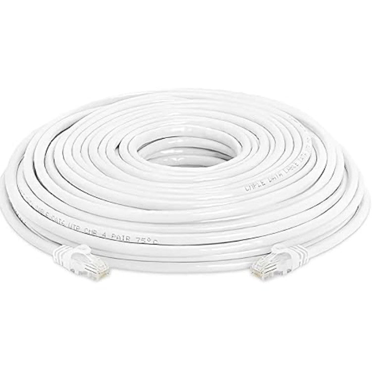 Cable réseau Network 100FT (CAT 6)